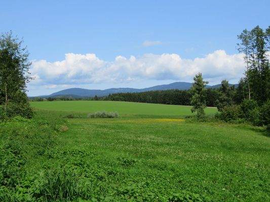 Blick vom westlichen Grundstück z. Brotjacklriegel