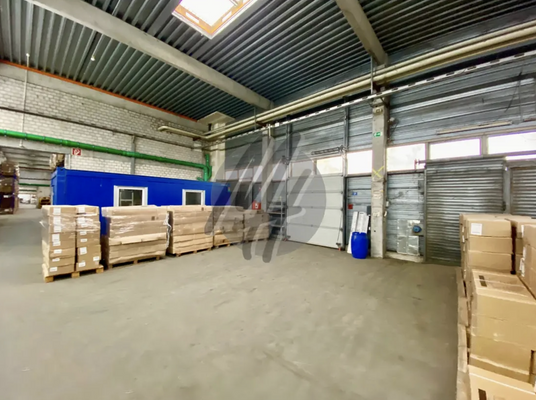 INFOS UNTER: 06171-586000