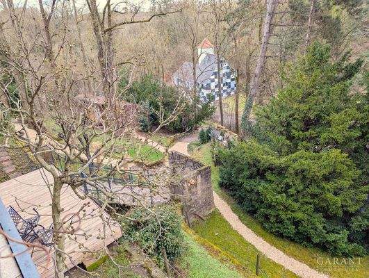 Garten Weg zum Haus 2