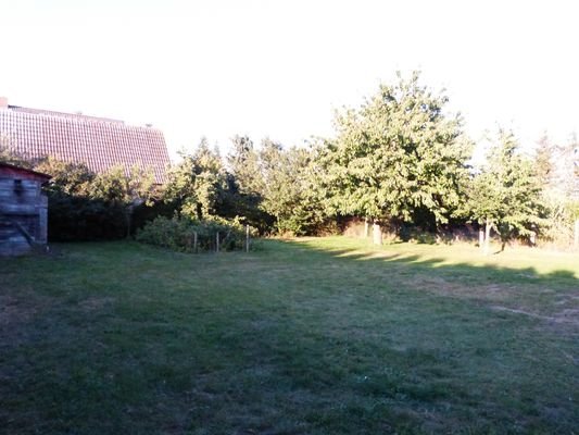 P1070083.JPG