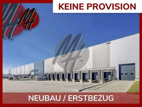 Schwäbisch Hall Halle, Schwäbisch Hall Hallenfläche