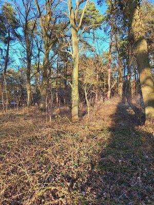 Blick auf das Wohngrundstück