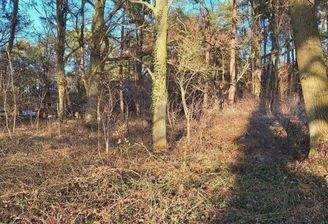 Blick auf das Wohngrundstück