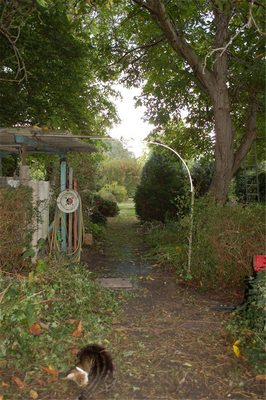 Zuweg zum Garten