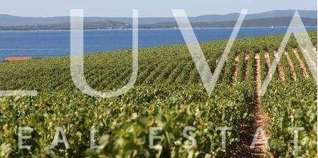 Tisno Häuser, Tisno Haus kaufen