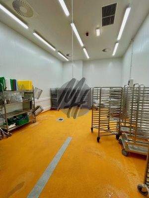 INFOS UNTER: 06171-586000