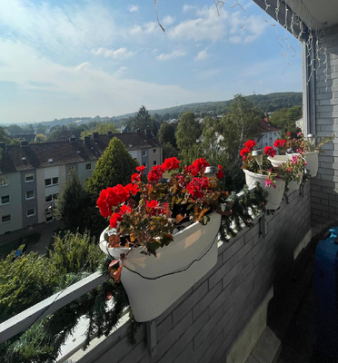 Balkon mit Aussicht.png