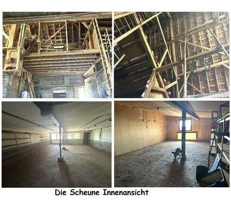 Bilder aus der Scheune 