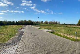 Straße_Pappeltor Kopie