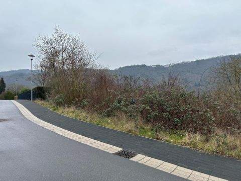 Traben-Trarbach Grundstücke, Traben-Trarbach Grundstück kaufen