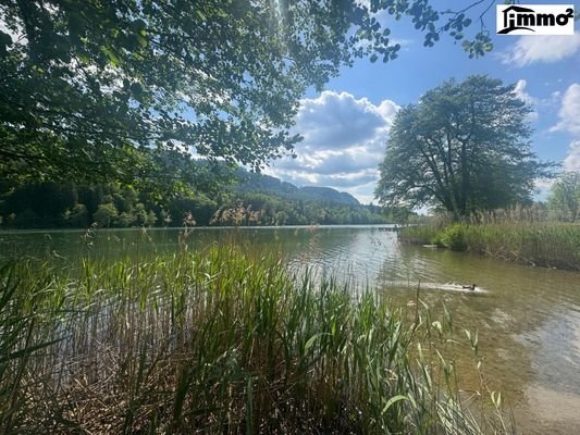 Rauschelesee in unmittelbarer Nähe