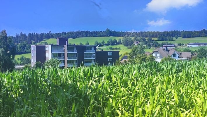 Außenansicht  vom Waldrand