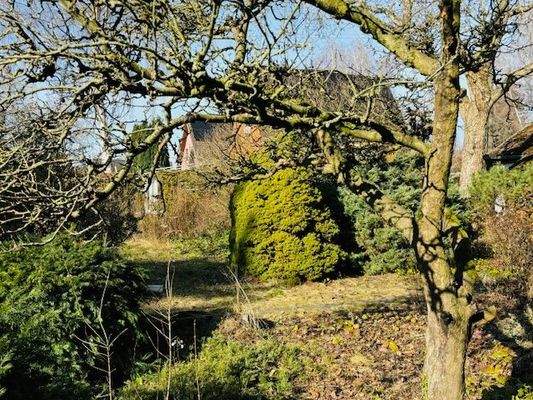 Blick zum Nachbargrundstück