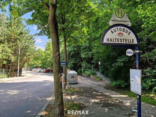 Bushaltestelle nur wenige Meter entfernt