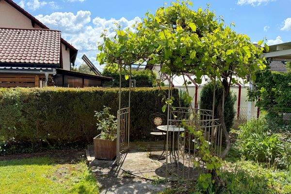 WhatsApp Image 2025-05-20 at 10.02.12 (1)