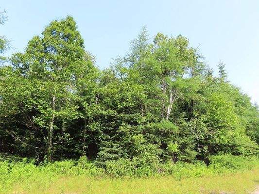 Cape Breton - Shaw Lake - 11,2 Hektar-Areal in her