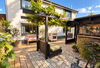 Sonniger Gartenhof mit Weinpergola