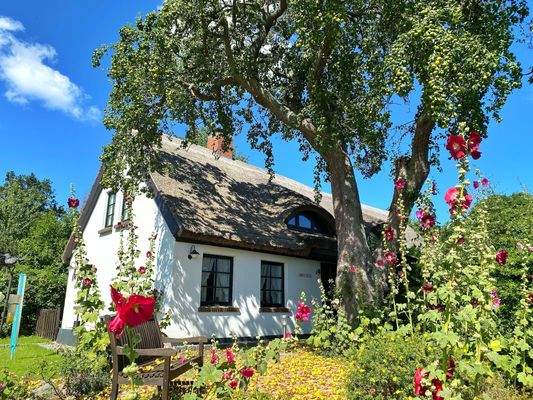 Ansicht Doppelhaushälfte