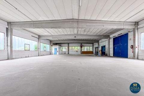 Landsberg am Lech Halle, Landsberg am Lech Hallenfläche