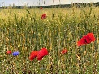 DH OB SV 14641 03.05.23 07 2