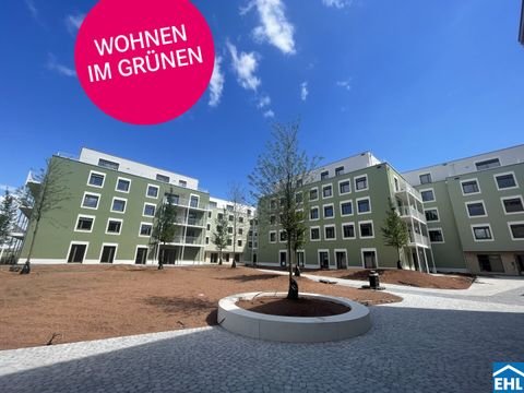 Pixendorf Wohnungen, Pixendorf Wohnung mieten