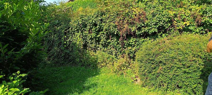 Baugrundstück Passauer Str. 22