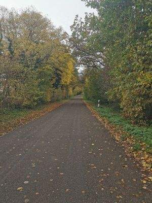 Die kleine Straße führt zu der Hofanlage und zum Naturschutzgebiet