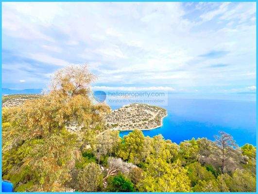 6acdafe29bb445d29e6eb6d69e41cb08-original