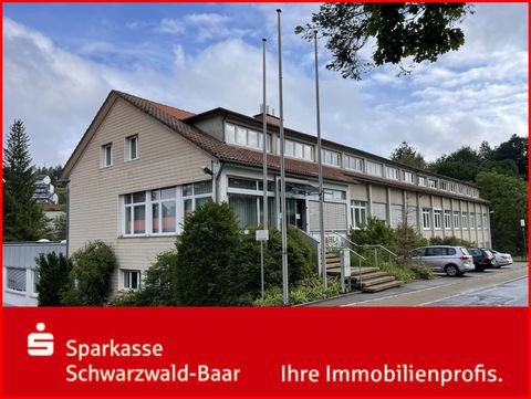 Unterkirnach Halle, Unterkirnach Hallenfläche