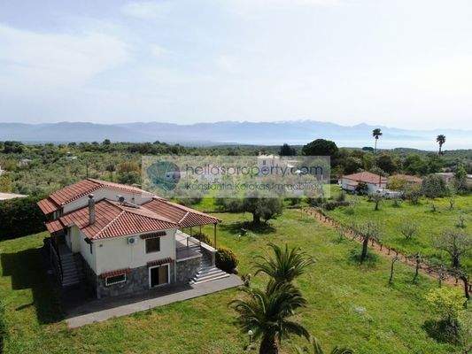 8f74cb839ee14cebad42a1ddcd1fe787-original