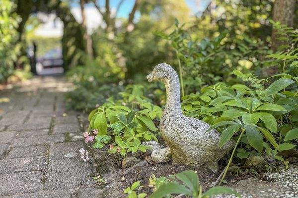 Herzlich willkommen!