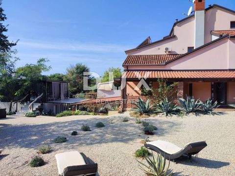 Centar, Luka, Finida Ladenlokale, Ladenflächen 