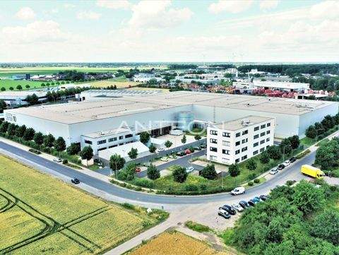 Viersen Halle, Viersen Hallenfläche