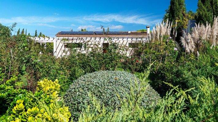 Binissalem Mallorca Finca zu verkaufen Garten BHHS-BAL-1061