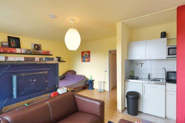 Wohn- und Schlafbereich mit Küchenzeile