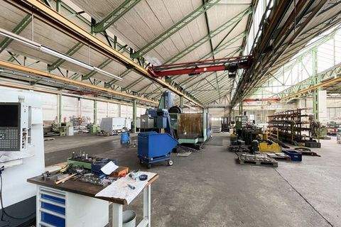 Braunschweig Halle, Braunschweig Hallenfläche