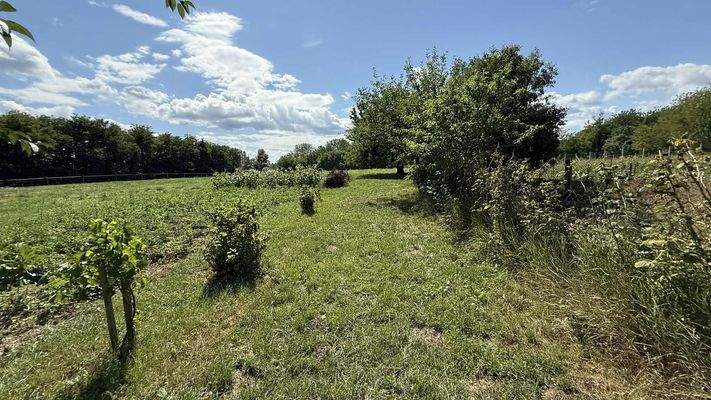 att.g8S_1dhj8dUQg-pUfAiLBpQTZ9CMF_IS8uGqwYDu2Bk.JP