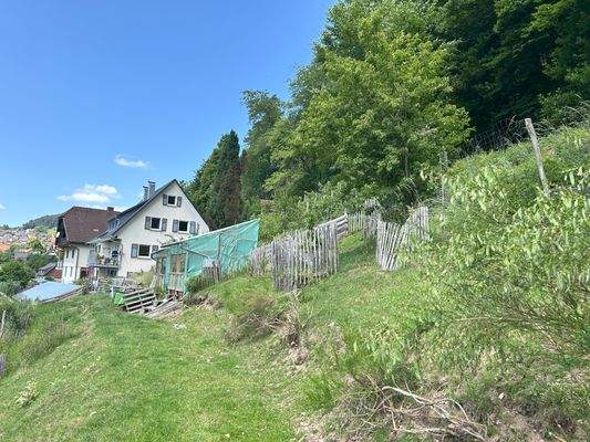 Blick vom Garten aufs Haus 