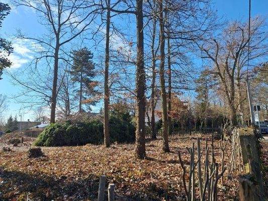 Ein Platz an der Sonne