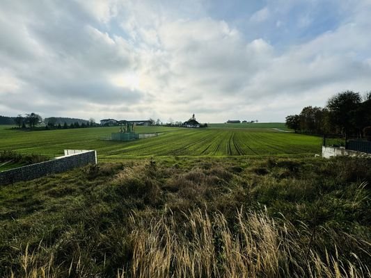 Bild 19
