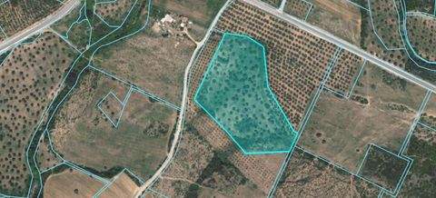 Chalkidiki Bauernhöfe, Landwirtschaft, Chalkidiki Forstwirtschaft