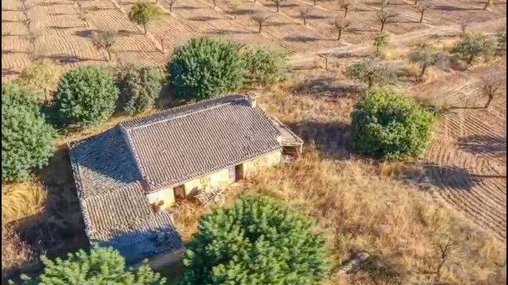 Projekt einer Finca mit Weinberg