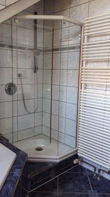 Dusche im TL-Bad im DG
