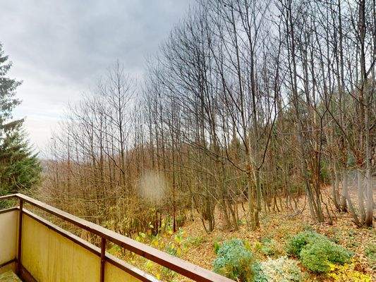 Waldblick vom Schlafzimmerbalkon