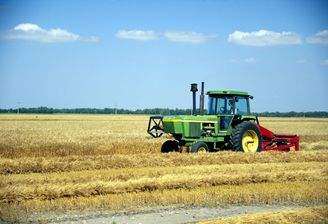 Musterbild Landwirtschaft