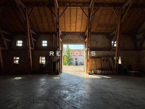 Geiselhöring Halle, Geiselhöring Hallenfläche