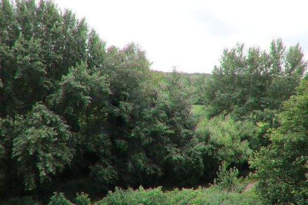 Blick von der Terrasse nach rechts