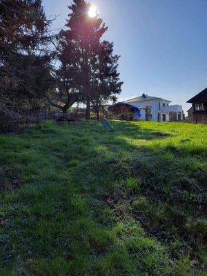 Blick vom Grundstück