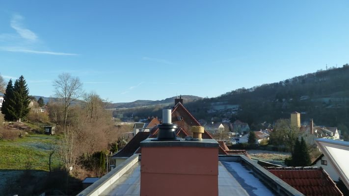 Ausblick in Richtung Floh-Seligenthal