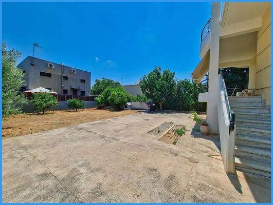 8ea37a0024614ef2813f1a955cf56bdd-original